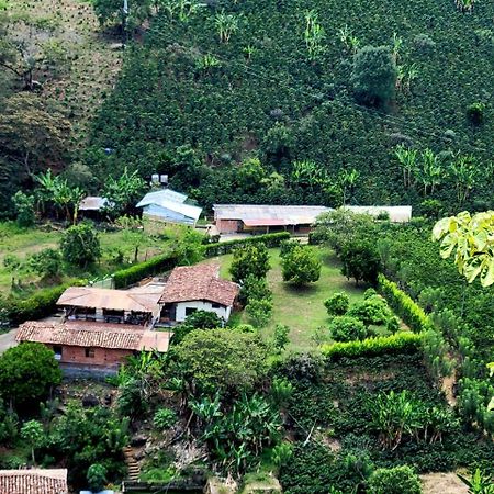 Hotel Finca Hostal Valle Claro Betania Zewnętrze zdjęcie