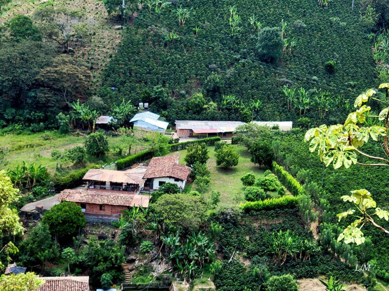 Hotel Finca Hostal Valle Claro Betania Zewnętrze zdjęcie